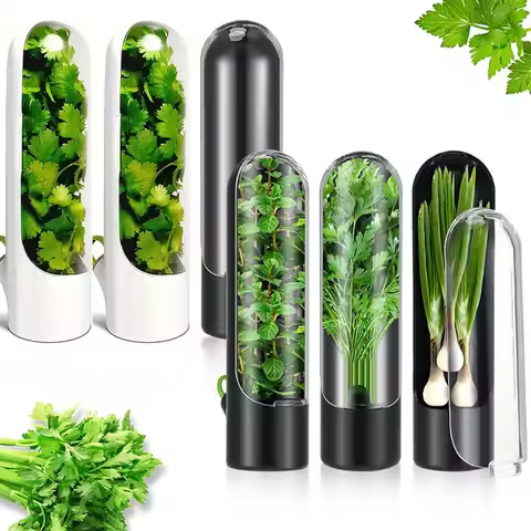 1Pc Herb Plant Preservation Box with Lid Freshness Keeper for Cilantro Parsley Basil Mint Transparen