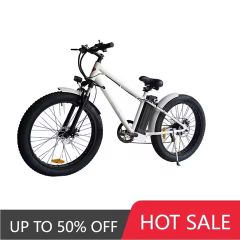 QQW 26 inch 250w cheap electric bike with CE electric fat tires bike beach snow ebike steel frame el