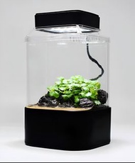 【新缸】苔蘚／鼠婦飼養生態缸  黑白兩色  具USB通風扇＆Led自然光