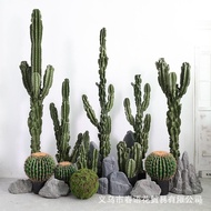 Nordic Scene Desert Cactus Measuring Stick Tropical Fake Ornament Artificial Cactus Column Decoratio
