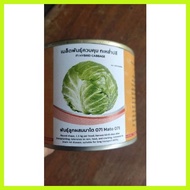 ∏ ∆ ♟ IN & CO F1 HYBRID WONDERBALL CABBAGE SEED 100 g