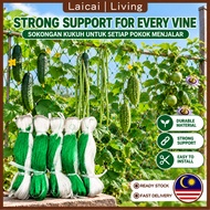 Green Vine Support Netting for Vines Durable Material Easy to Install Bunga Pisang Berangan Banana S
