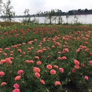 2.5kg Ten Hours of All Colors