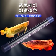 Arowana Dedicated Fish Tank led Waterproof Hair Color Ornamental Diving Light Golden Dragon Red Arow