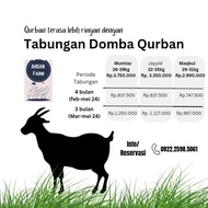 Domba Qurban Aqiqah Dorper Garut Sufok Baspok