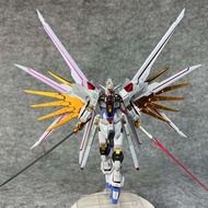 Gaogao 250 HG Mighty Strike Freedom Fighter Model Kit