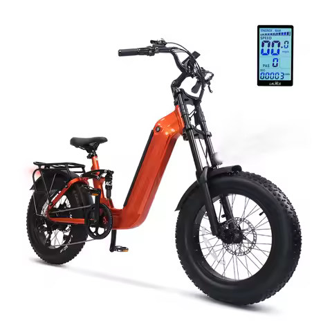 US Warehouse Super Power 750W 48V 20ah Internal Battery Fat Tire Mountain Road Cargo City E-Bike Dir