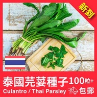 泰國芫荽種子100粒+ Culantro / Thai Parsley seed 包平郵