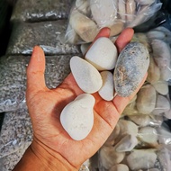 Batu Putih Hiasan Akuarium saiz besar 1kg