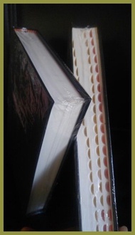۩ ♂ ✿ KJV Bible (TI Biblia *Ilocano)