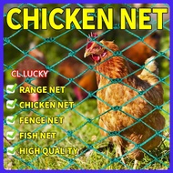 100M Chicken Net Range Net  Poultry Net Ranging Net FISH POND BARRIER / CHICKEN NET / ANTI BIRD  Chi
