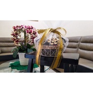 cookies famous amous