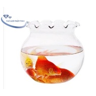 Fish Tank Glass Aquarium Plant Pot with Duck Mouth B11 D17CM x 16CM