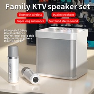 Dual Microphone Karaoke Machine for Adults and Kids Portable Bluetooth PA Speaker System with 2 Wire