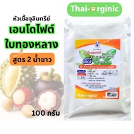 หัวเชื้อจุลินทรีย์เอนโดไฟต์ ใบทองหลาง สูตรน้ำขาว (B16 เดิม) ตราดินดาวปฐมอโศก สูตร อจ.วิโรจน์ 100 กรั