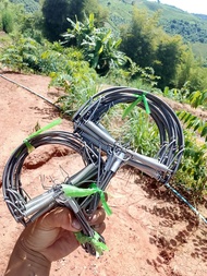 กับดักหนูขนาด6นิ้ว10อัน!!เพียง!!109บาทเท่านั้น...ย้ำว่า109บาท!!