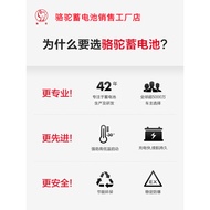 Camel 12V220ah6QWD Parking Dedicated Battery Cart Battery Storage Free Shipping New Product 1100A1 Y