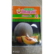 Benih Rock Melon Jumbo F1 20gm 800 Seeds Bintang Asia