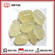 Preserved Atap Seed (1kg)