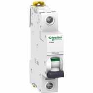 SCHNEIDER Mcb Ic60N 1P 2A Schneider4A