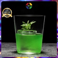 (GI) 360ml Aesthetic Iced Tea Glass