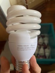 Philips 菲力普 23w 白光燈泡