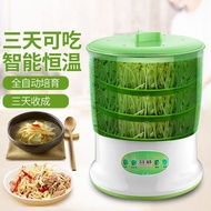 110V Bean Sprout Machine Mung Bean Soybean Household Automatic Intelligent Homemade Small Germinatio