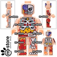 Block anatomy transparent human body flesh color small toy figure