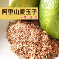 Alishan Natural Aiyuzi Aiyu Seeds [Sweet Garden Shop]