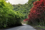棲蘭山莊Cilan Resort