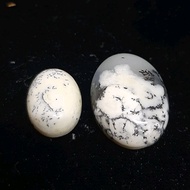 Natural Dendrite Stone Big (G21) Small (G21A)