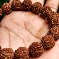 Gelang kesehatan biji genitri Gelang genitri rudraksa gelang biji genitri asli