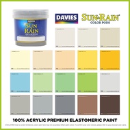▦ ♒ DAVIES Sun & Rain Color Pods Paint (250ml) Seal Gray