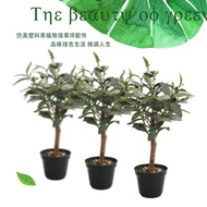 Olive Tree Artificial Tree Landscaping Interior Decoration Olive Tree Artificial Tree Anesthesia Nor