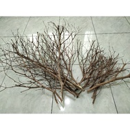 Ranting kayu hiasan dari pokok hidup (semulajadi/original). Ramadan Raya 2025 decor - flower arrange