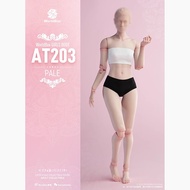 Worldbox AT201 202 AT203 Durable 1/6 Joint Movable Female Body Model Version Fat Leg Version