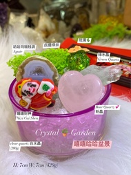 crystal garden set 嘻嘻哈哈盆景🪴让爱环绕着❤️  好运贴着您🍀 爱笑的人运气总不差😬 #嘻嘻哈哈 #水晶套装 Crystal Garden Xixi Cai Shen   #最爱好