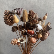 Natural Dried Pine Cones Dried Flowers Dried Fruit Acorn Lotus Puff Dried Flowers Nordic Home Decora