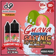 LIQUID VAPE DV9 GUAVA JAMBU MINT SALT NIC POD FRIENDLY SALTNIC ERISE