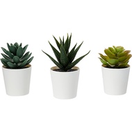 IKEA FEJKA Artificial potted plant with pot, in/outdoor Succulent, 6 cm 3 pack