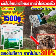 ยาฆ่าไผ่ ยาฆ่าหญ้ 500g  ไม่ทำลายดิน รวดเร็ว ทนนาน  ผงกำจัดต้นไม้ ผงกำจัดกอไผ่ ยาฆ่าตอไม้ ยาฆ่าไม้ไผ่