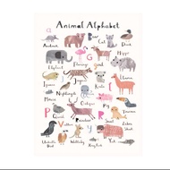 Kids Alphabet Learning Poster