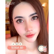 คอนแทคเลนส์ Roze Terra ค่าอมน้ำ55%