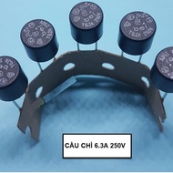 Combo of 10 ROUND FUSES 6.3A 250V T6.3A 250 F6.3A250V