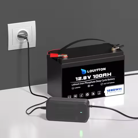 12V 100Ah 24V 100Ah Lifepo4 Battery Pack 12v 50Ah Portable Power Bank Rechargeable Lithium Batteries