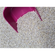 Barli / While Barley/ Barli 100% Halal/ Top Quality Barli
