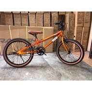 LIMITED STOCK all COLORS Raleigh Sonic kids mtb 20"