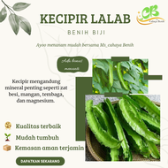 Benih kecipir/cipir isi (100 gram)  bibit kecipir lalap