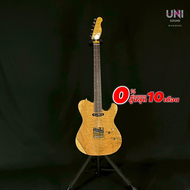 กีต้าร์ไฟฟ้า HISTORY Japan HG-TE/25th