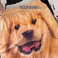[Spot] High quality Dog shorts golden retriever dog shorts funny fun golden retriever dog five-point